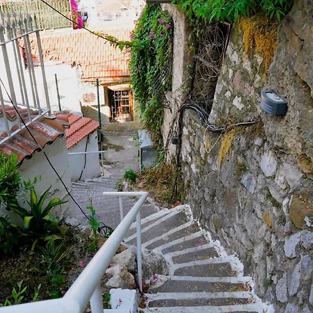 Apartment Calestia Boutique House